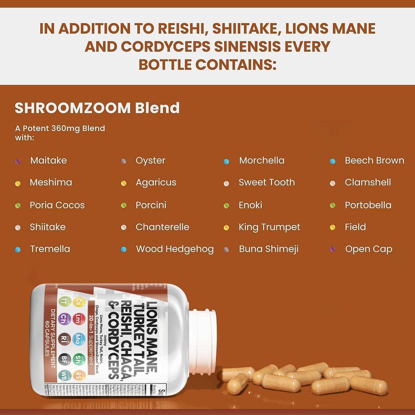 Lions Mane Turkey Tail Reishi Chaga & Cordyceps