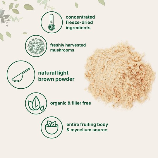 Organic Lions Mane Mushroom Supplement Powder