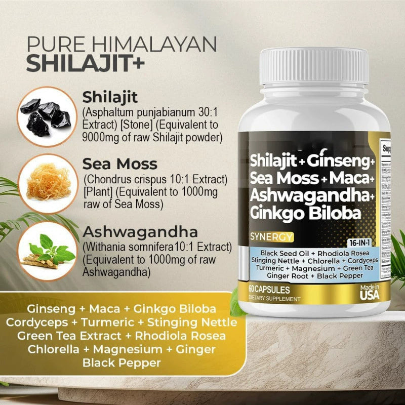 Shilajit+Ginseng+Sea Moss+Ashwagandha+Ginkgo