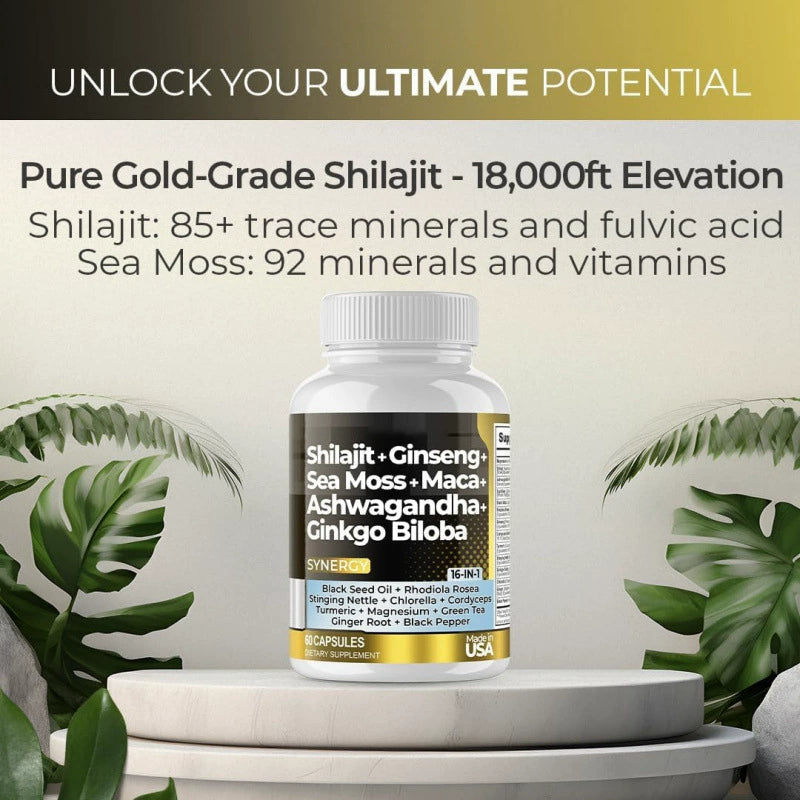 Shilajit+Ginseng+Sea Moss+Ashwagandha+Ginkgo