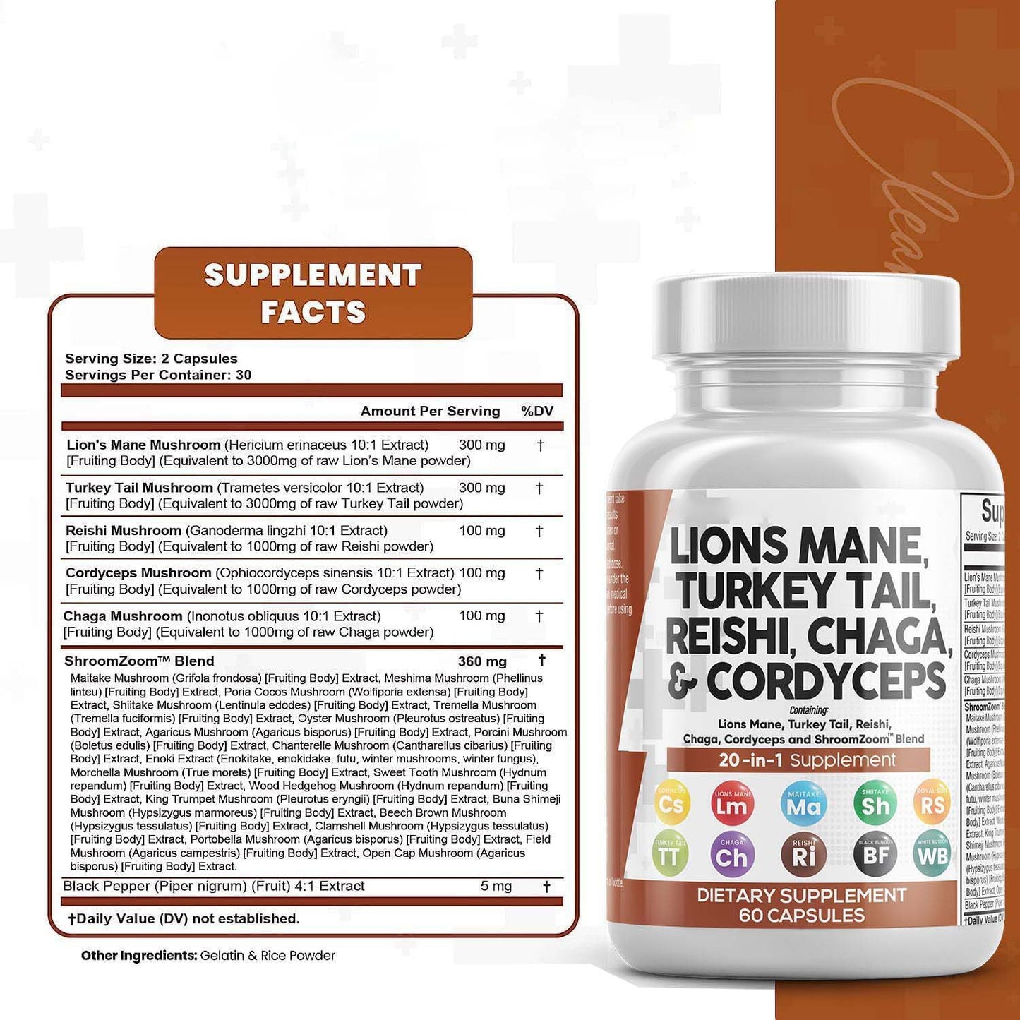 Lions Mane Turkey Tail Reishi Chaga & Cordyceps
